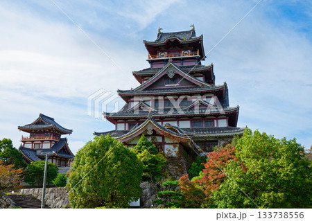 伏見桃山城　 133738556