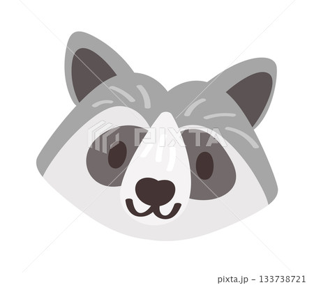 Funny raccoon avatar animal muzzle 133738721