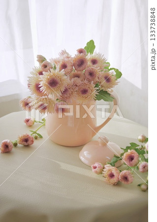 窓辺にピンクの菊 窓辺にピンクの菊 133738848