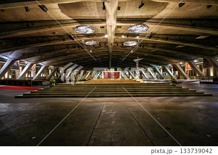 Interior of the Basilica of Saint Pius X in Lourdes, France 133739042