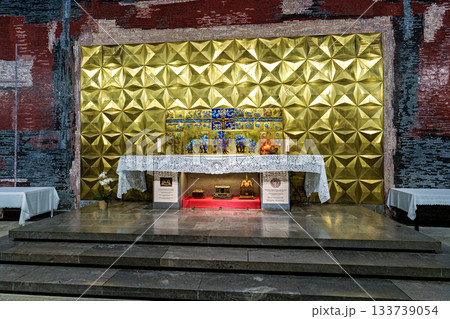 Interior of the Basilica of Saint Pius X in Lourdes, France 133739054
