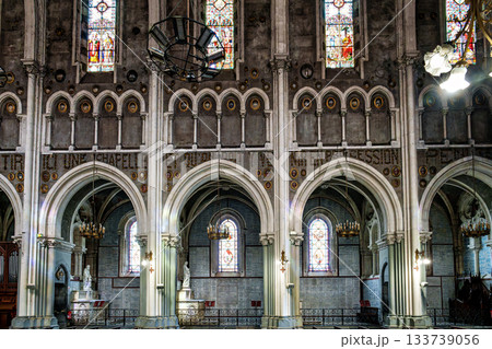 Interior of the Basilica in the Sanctuary of Lourdes, France. 133739056