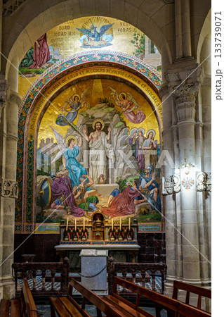 Interior of the Basilica in the Sanctuary of Lourdes, France. 133739071