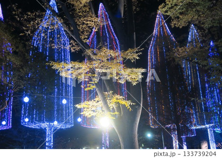 イルミネーションで彩られた光の祭典2025 イルミネーションで彩られた光の祭典2025 133739204