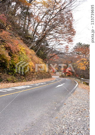 秋の紅葉した道 秋の紅葉した道 133739695
