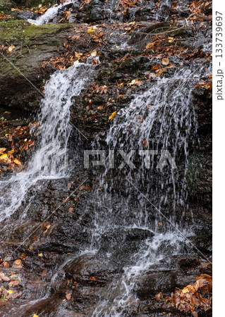 秋の滝の流れと落ち葉 133739697
