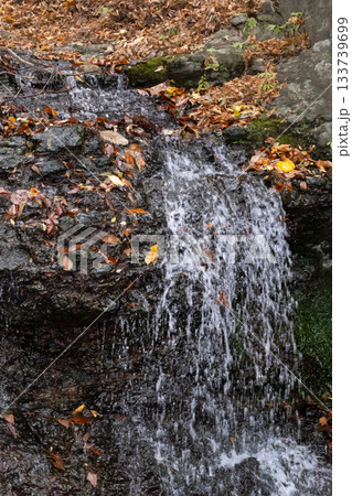 秋の滝の流れと落ち葉 133739699