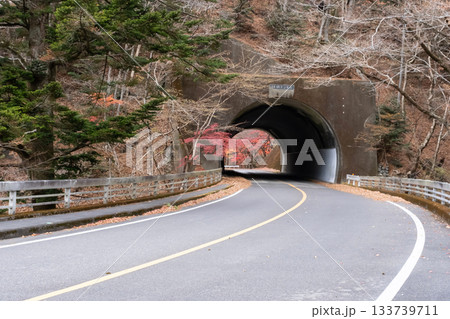 秋のトンネルのある風景 133739711