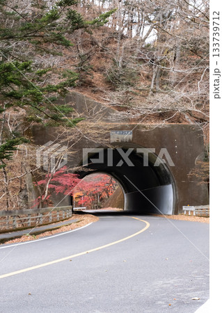秋のトンネルのある風景 133739712