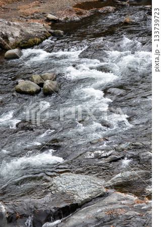渓流の秋の滝の流れ 渓流の秋の滝の流れ 133739723