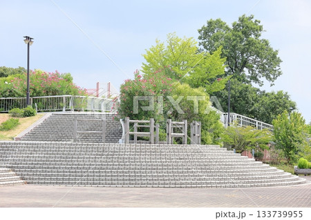 夏の公園　夾竹桃の花 133739955