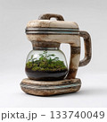 Terrarium inside a Vintage Coffee Maker / ヴィンテージのコ 133740049