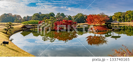 岡山後楽園 日本三名園の一つ、江戸時代を代表する回遊式庭園 岡山後楽園 日本三名園の一つ、江戸時代を代表する回遊式庭園 133740165