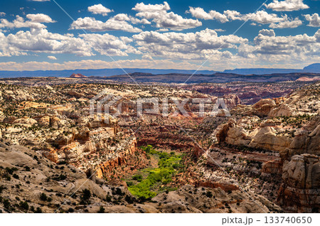 Scenic view of Calf Creek Canyon from Utah State Route 12 in Grand Staircase-Escalante National Monument. Lush green vegetation lines the creek bottom surrounded by sandstone cliffs under a cloudy sky 133740650