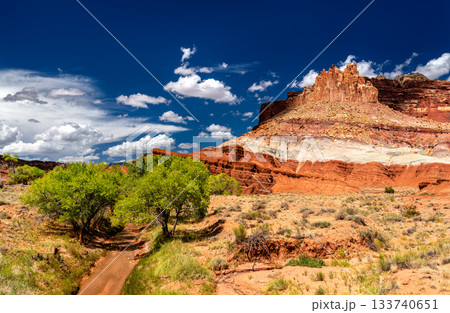 Sulphur Creek flows past green trees below The Castle rock formation in Capitol Reef National Park. Red sandstone cliffs rise under a deep blue sky with clouds Sulphur Creek flows past green trees below The Castle rock formation in Capitol Reef National Park. Red sandstone cliffs rise under a deep blue sky with clouds 133740651