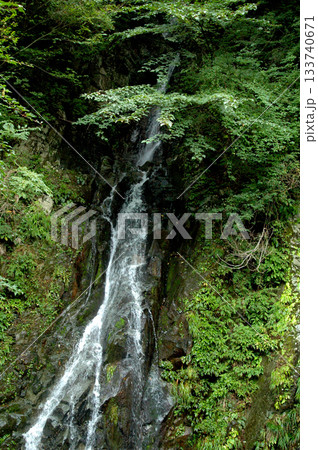 孫右衛門トンネルの手前にかかる孫右衛門の滝 133740671