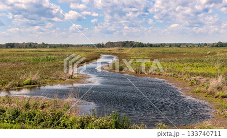 Long Point Birding Trail at Big Creek Natural Reserve Marsh, Lake Erie, Long Point, Ontario, Canada. 133740711