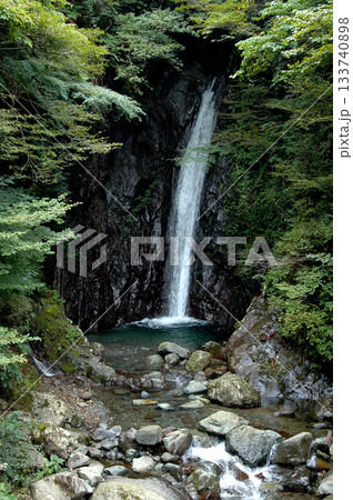 神ノ川林道に入って直ぐの林道脇に落ちてくるエビラ沢の滝 133740898