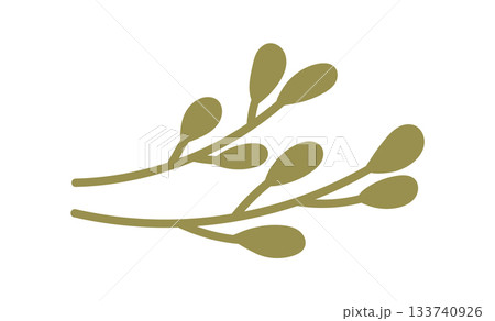 Green mistletoe branch flat silhouette decor with eco holiday theme. Christmas plant in kraft style as festive gift box element. Modern concept for seasonal decoration. Green mistletoe branch flat silhouette decor with eco holiday theme. Christmas plant in kraft style as festive gift box element. Modern concept for seasonal decoration. 133740926