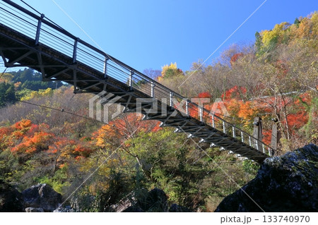 岩屋川渓谷 秋葉橋を彩る紅葉 (高知県 仁淀川町別枝) 岩屋川渓谷 秋葉橋を彩る紅葉 (高知県 仁淀川町別枝) 133740970