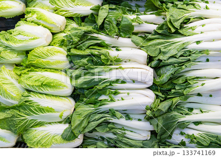 Chinese and Pekinensis cabbage. Bok choy background. Green grocery vegetable in food market. Organic food. Organic vegetable Bok choy. Background of organic Bok choy. Eco vegetable. Healthy dieting 133741169