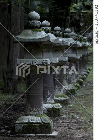 立ち並んだ神社の灯籠 立ち並んだ神社の灯籠 133741392