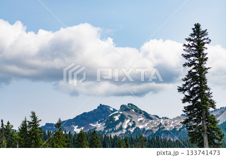 Mount Rainier mountain landscape. Forest nature. Nature in mountain countryside. Scenery landscape of mountain. Scenery autumn countryside. Tahoma mountain landscape with forest 133741473