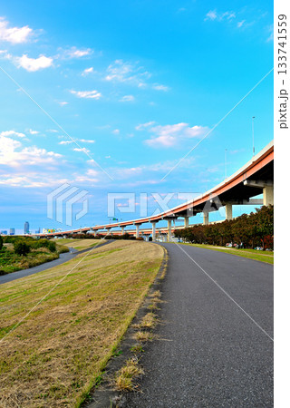 荒川 秋のさくらが紅葉した五色桜大橋と江北ジャンクションの夕景 133741559