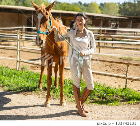 Armenian girl, owner of horse, walks pet outdoor in paddock 133742133