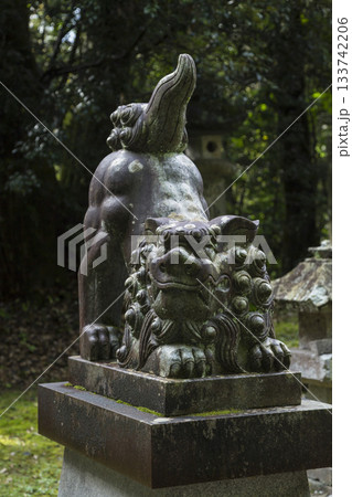神社の入口に立つ狛犬の像 神社の入口に立つ狛犬の像 133742206