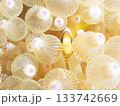 イソギンチャクの中からこちらを覗くクマノミ幼魚 133742669
