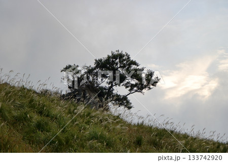 黄金の輝きとドラマチックな雲海 黄金の輝きとドラマチックな雲海 133742920