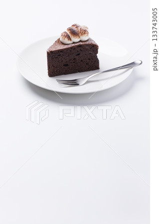 皿に盛られたケーキ ガトーショコラ 白背景 皿に盛られたケーキ ガトーショコラ 白背景 133743005