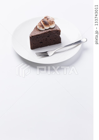 皿に盛られたケーキ ガトーショコラ 白背景 皿に盛られたケーキ ガトーショコラ 白背景 133743011