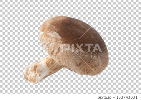 透明背景上的一個香菇（png） 133743031