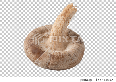透明背景上的一個香菇(png) 透明背景上的一個香菇(png) 133743032