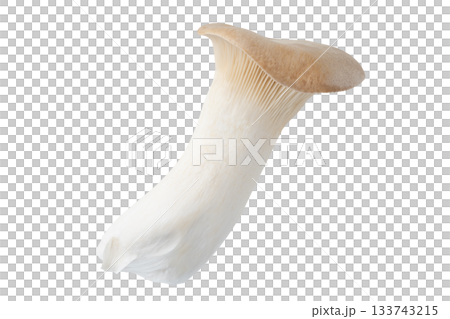 透明背景（png）に1本のエリンギ 133743215