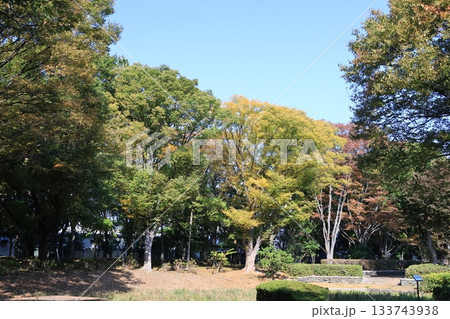 埼玉県久喜市の久喜菖蒲公園の風景 133743938