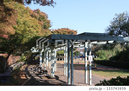 埼玉県久喜市の久喜菖蒲公園の風景 133743939