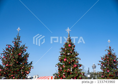 クリスマス 133743960