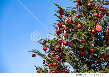 クリスマス 133743962