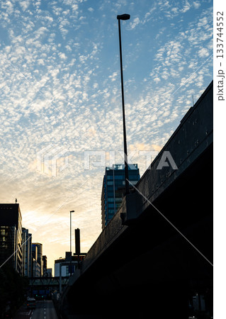 東京都心の夕暮れ 巻積雲と街のシルエット 東京都心の夕暮れ 巻積雲と街のシルエット 133744552