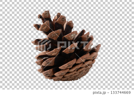 透明背景（png）に1個の松ぼっくり 133744669
