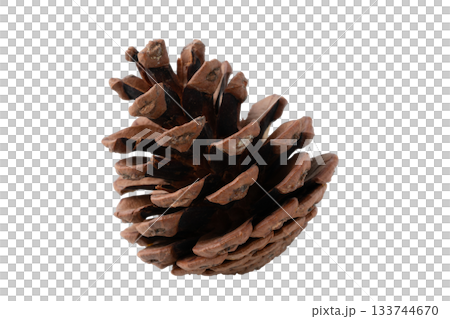 One pine cone on a transparent background (png) One pine cone on a transparent background (png) 133744670