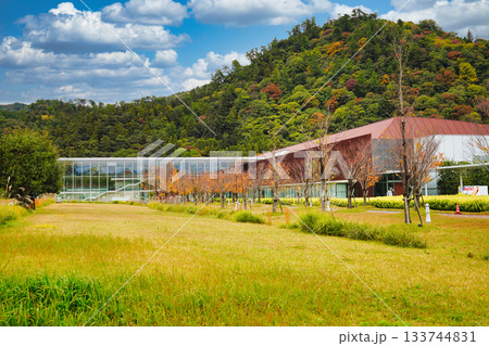 島根県立古代出雲歴史博物館の景観 島根県立古代出雲歴史博物館の景観 133744831