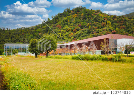 島根県立古代出雲歴史博物館の景観 133744836