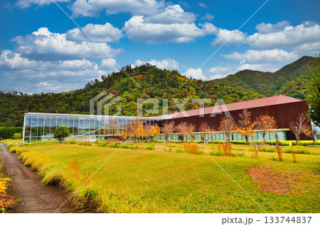 島根県立古代出雲歴史博物館学びの景観 島根県立古代出雲歴史博物館学びの景観 133744837