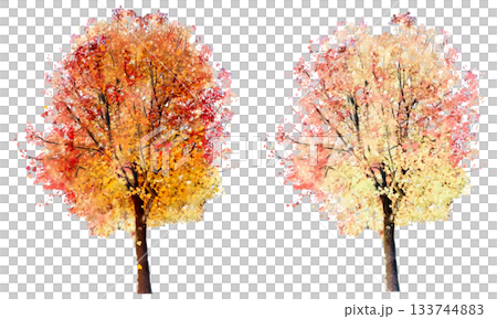秋葉樹（楓樹）水彩套裝 133744883