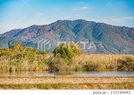 西の湖 ラムサール条約湿地登録エリア 滋賀県近江八幡市 西の湖 ラムサール条約湿地登録エリア 滋賀県近江八幡市 133744942