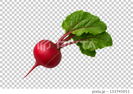 Vegetables (red turnip) 133745051